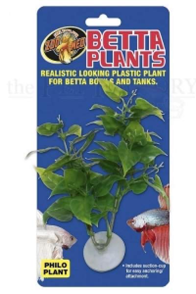 Preview: Betta Plant